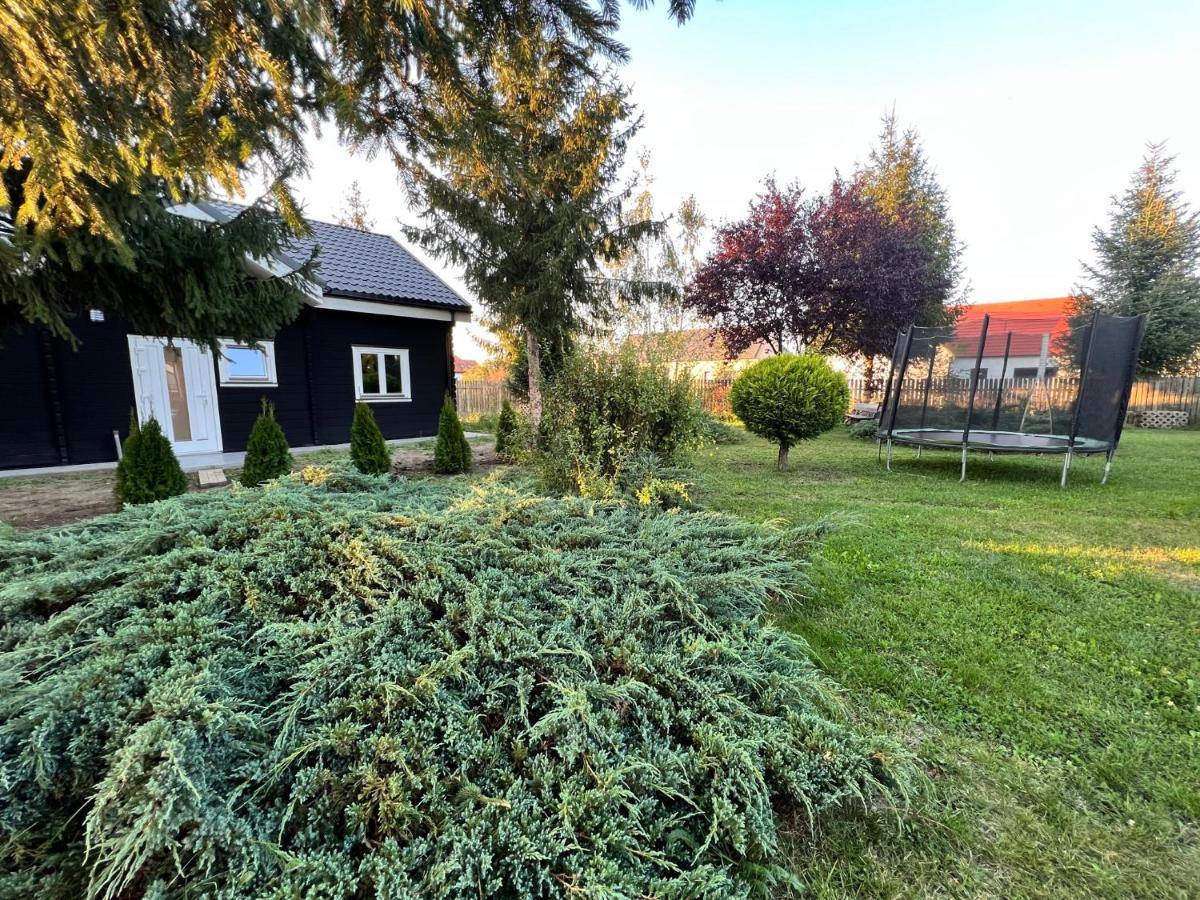 Vila Scandinavia Sîngeorgiu de Mureş Exterior foto